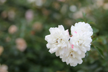 Similar image 21694129