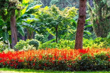 Similar image 21687559