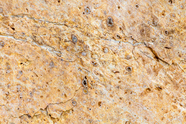 Similar image 21687568