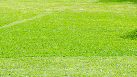 Similar image 21687569