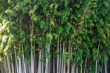 Similar image 21687574