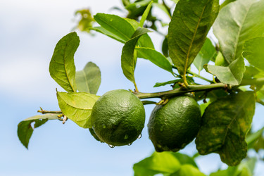 Similar image 21687575