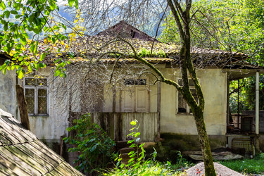 Similar image 21687580