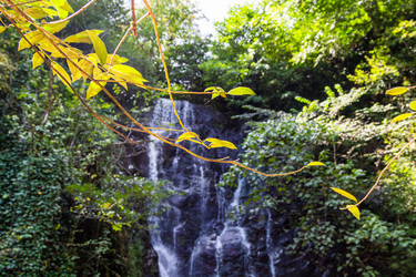 Similar image 21687582