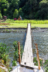 Similar image 21687586