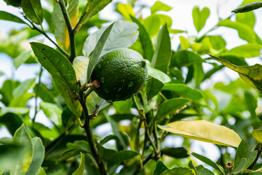 Similar image 21687587