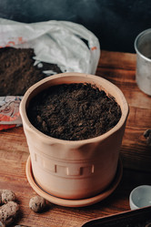 Similar image 21689708