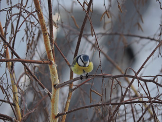 Similar image 21688322