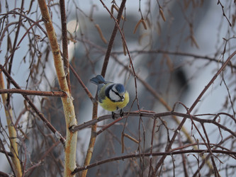 Similar image 21688323