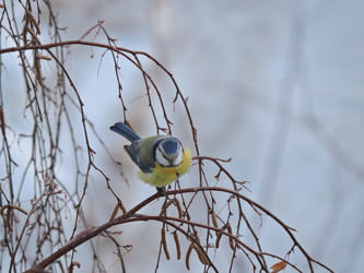 Similar image 21688324