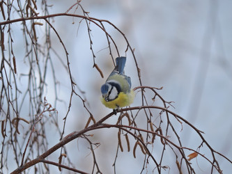 Similar image 21688325