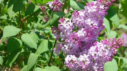 Similar image 21692759