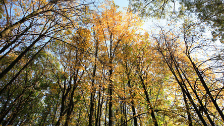 Similar image 21692784