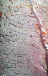 Similar image 21693201