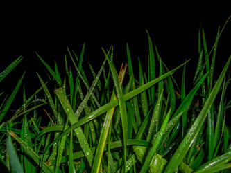 Similar image 21686803