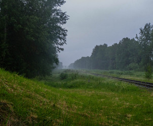 Similar image 21686805