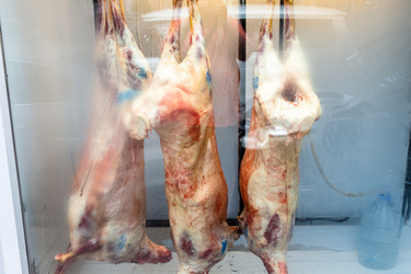 Similar image 21687597