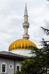 Similar image 21687599