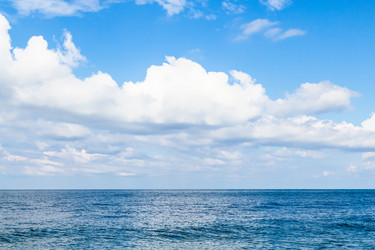 Similar image 21687607