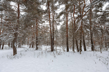 Similar image 21687113