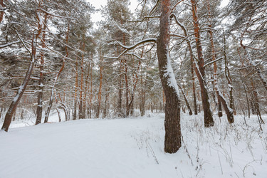 Similar image 21687114