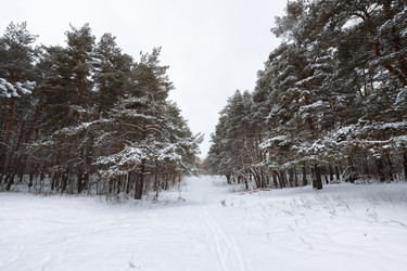 Similar image 21687115