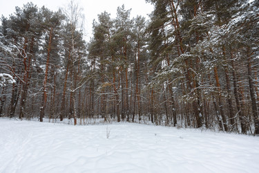 Similar image 21687117