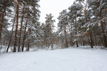 Similar image 21687120