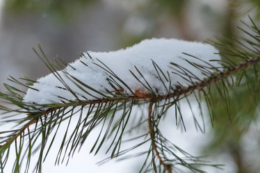 Similar image 21687125