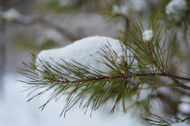 Similar image 21687127