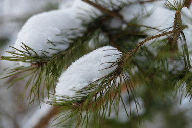 Similar image 21687128