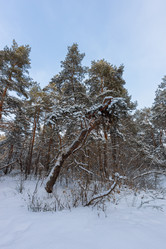 Similar image 21687129