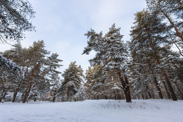 Similar image 21687130