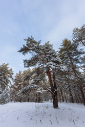 Similar image 21687131