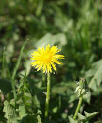 Similar image 21693228