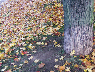 Similar image 21693233