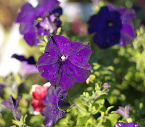 Similar image 21693238