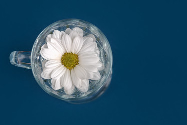 Similar image 21688330