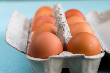 Similar image 21687953