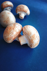 Similar image 21688335