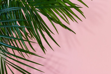 Similar image 21690036