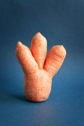 Similar image 21687964