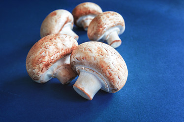 Similar image 21687965