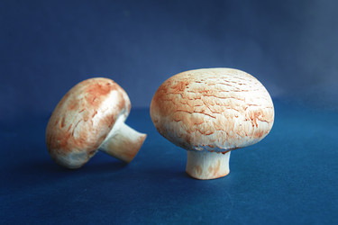 Similar image 21687966