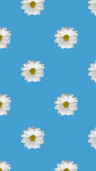 Similar image 21687969