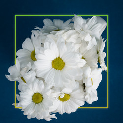 Similar image 21688344