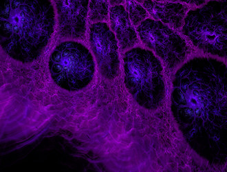 Similar image 21695286