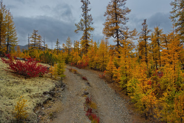 Similar image 21687402