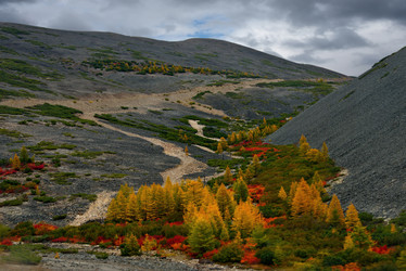 Similar image 21687404