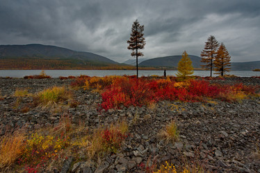 Similar image 21687407